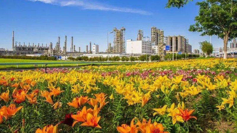 增稠剂与胶凝剂：揭秘它们在化工领域的差异