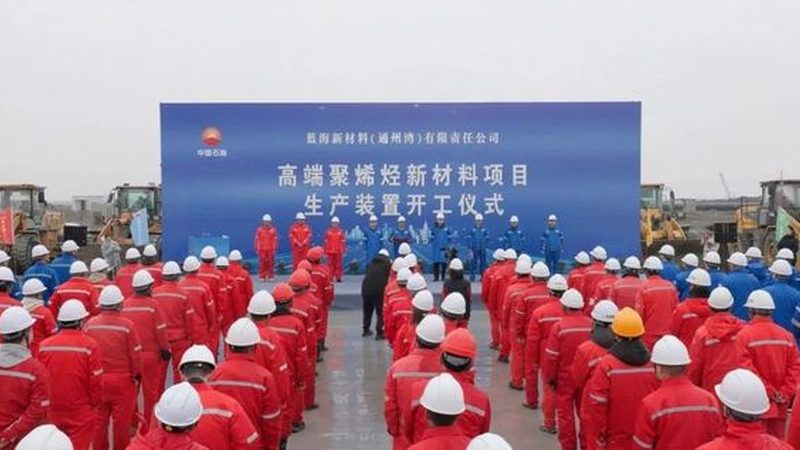 广东高分子材料品牌格局：谁在定义区域竞争力