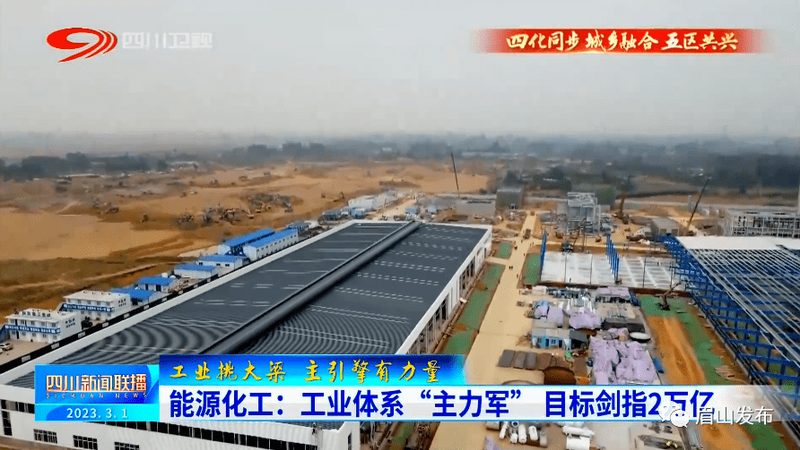饮料防腐剂哪家品牌标准更严格